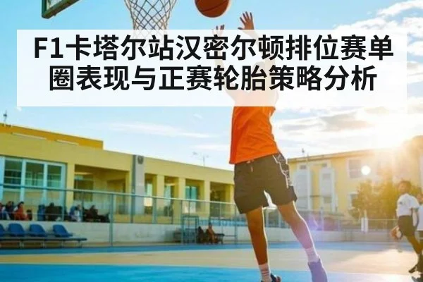 F1卡塔尔站汉密尔顿排位赛单圈表现与正赛轮胎策略分析（hth）
